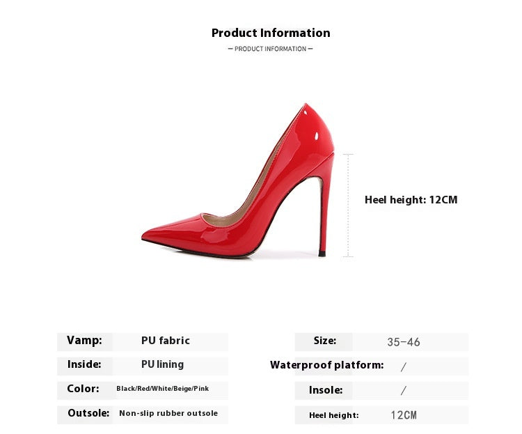 Large Size Pointed Toe 12cm Stiletto Heel High Heels